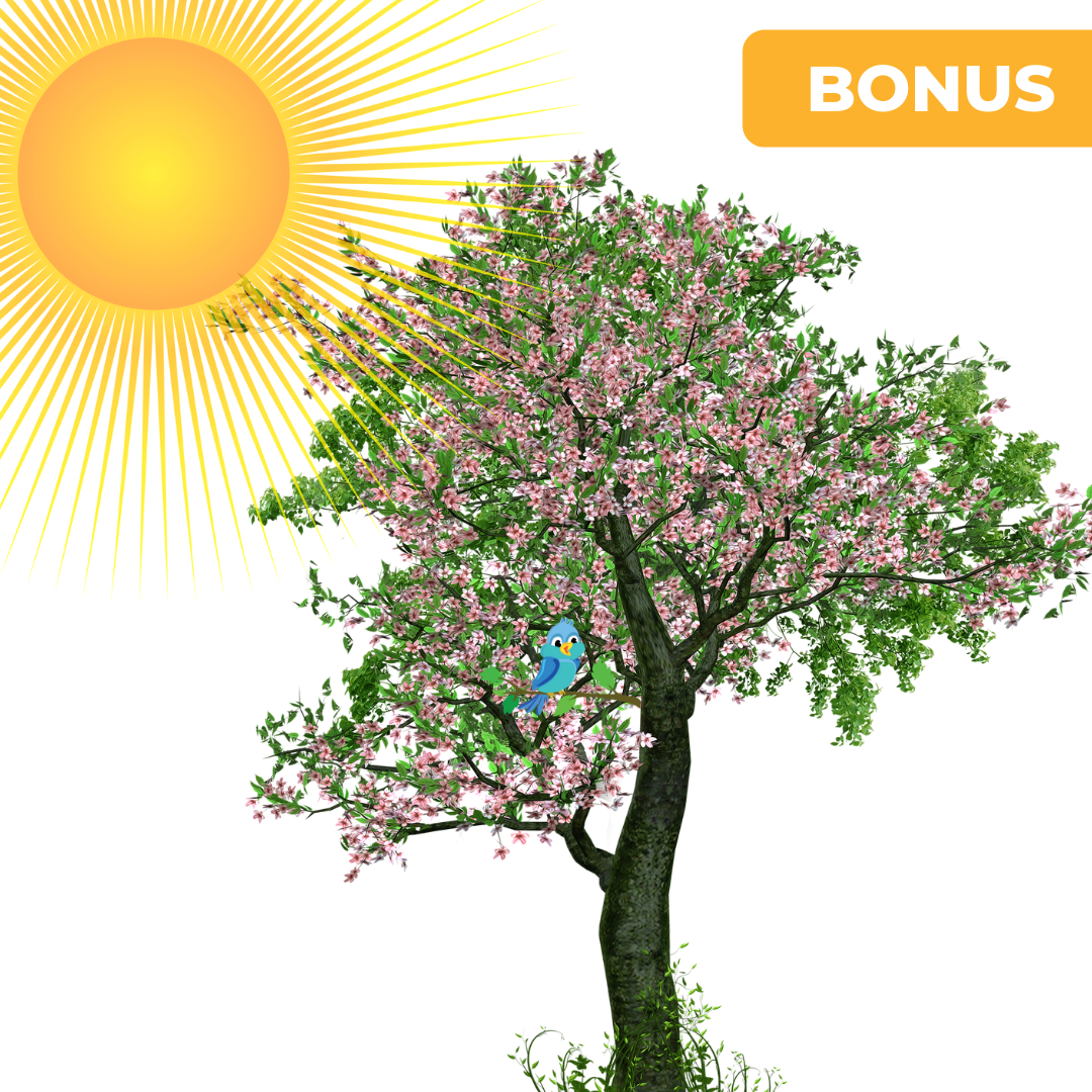🎯BONUS: Die Power-Morgen-Insel