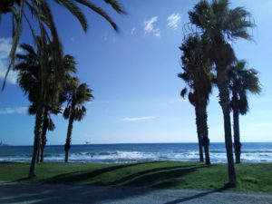 Palmen, Strand und Meer
